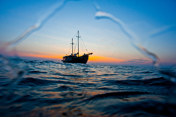after the dive at days end